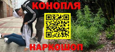 прущие грибы Кудрово